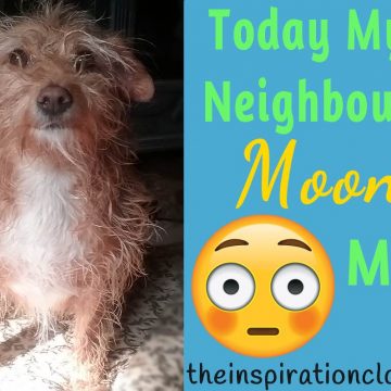 Today My Neighbour Mooned Me!